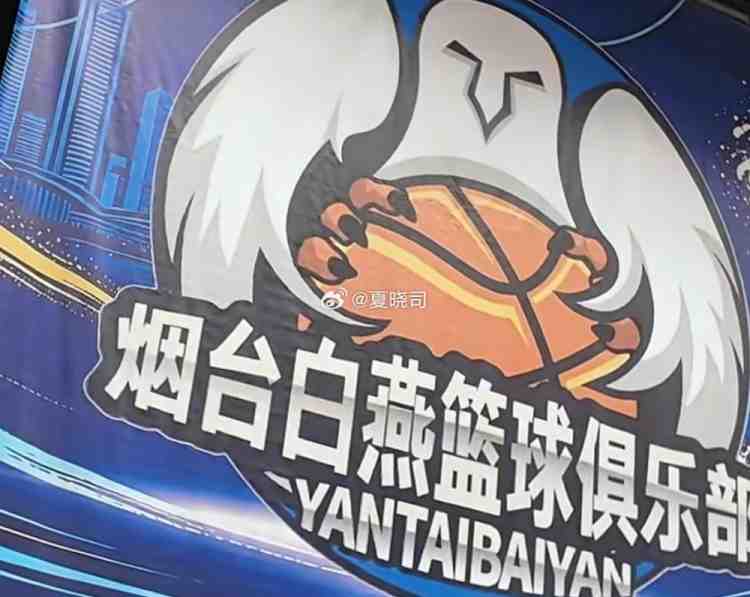 山东第二支NBL球队?鲁媒:烟台白燕篮球俱乐部或征战新赛季NBL