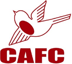 卡尔顿斯