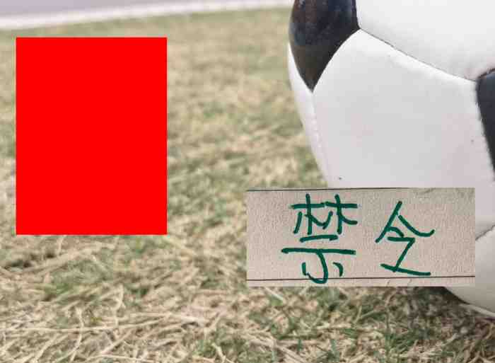 联赛还剩4场!申花米内罗 北京国安达万 成都蓉城韦世豪