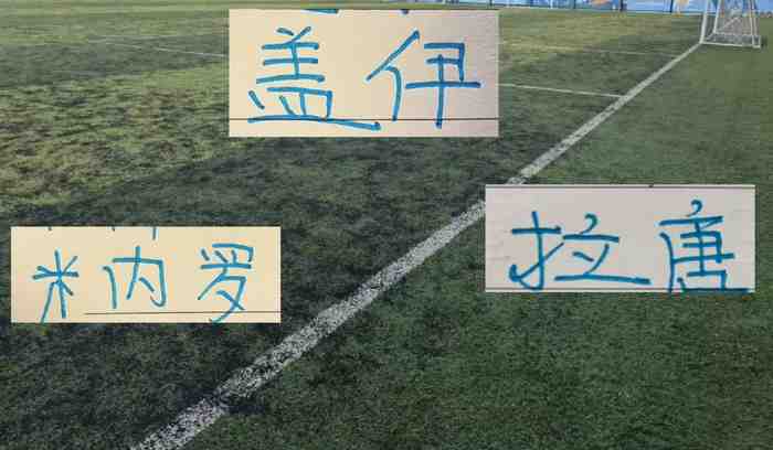 没外援福利申花！亚冠二级赛只能是残血出战