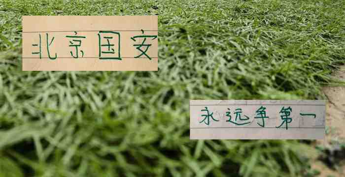 北京国安亚冠精英赛3大主力缺席