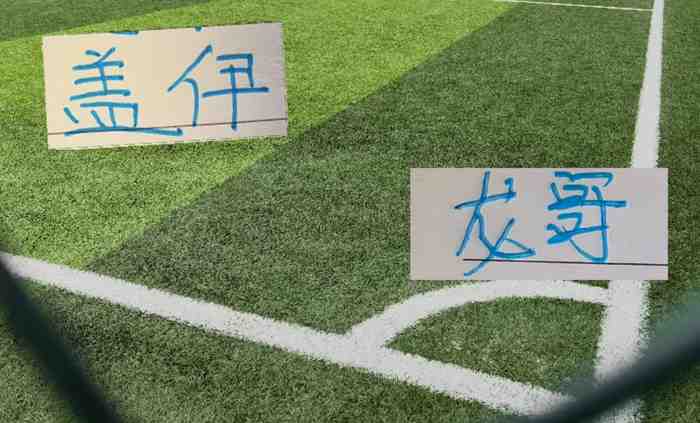 申花给1米95高中锋盖伊， 1米93中卫蒋圣龙报名亚冠二级赛
